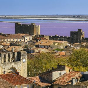 Votre voyage en Camargue